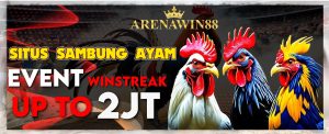 sv388 sabung ayam