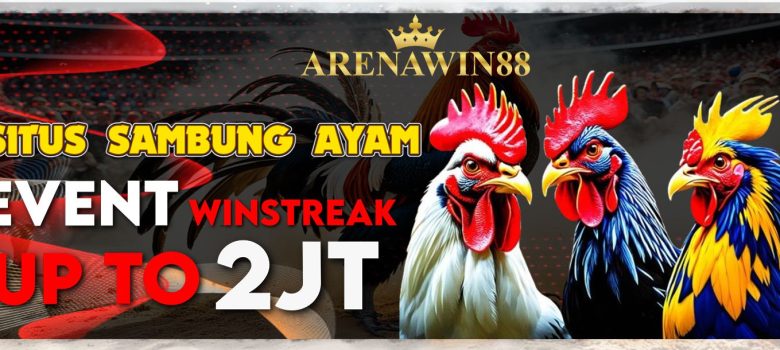 sv388 sabung ayam